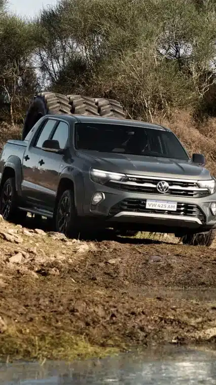 Amarok